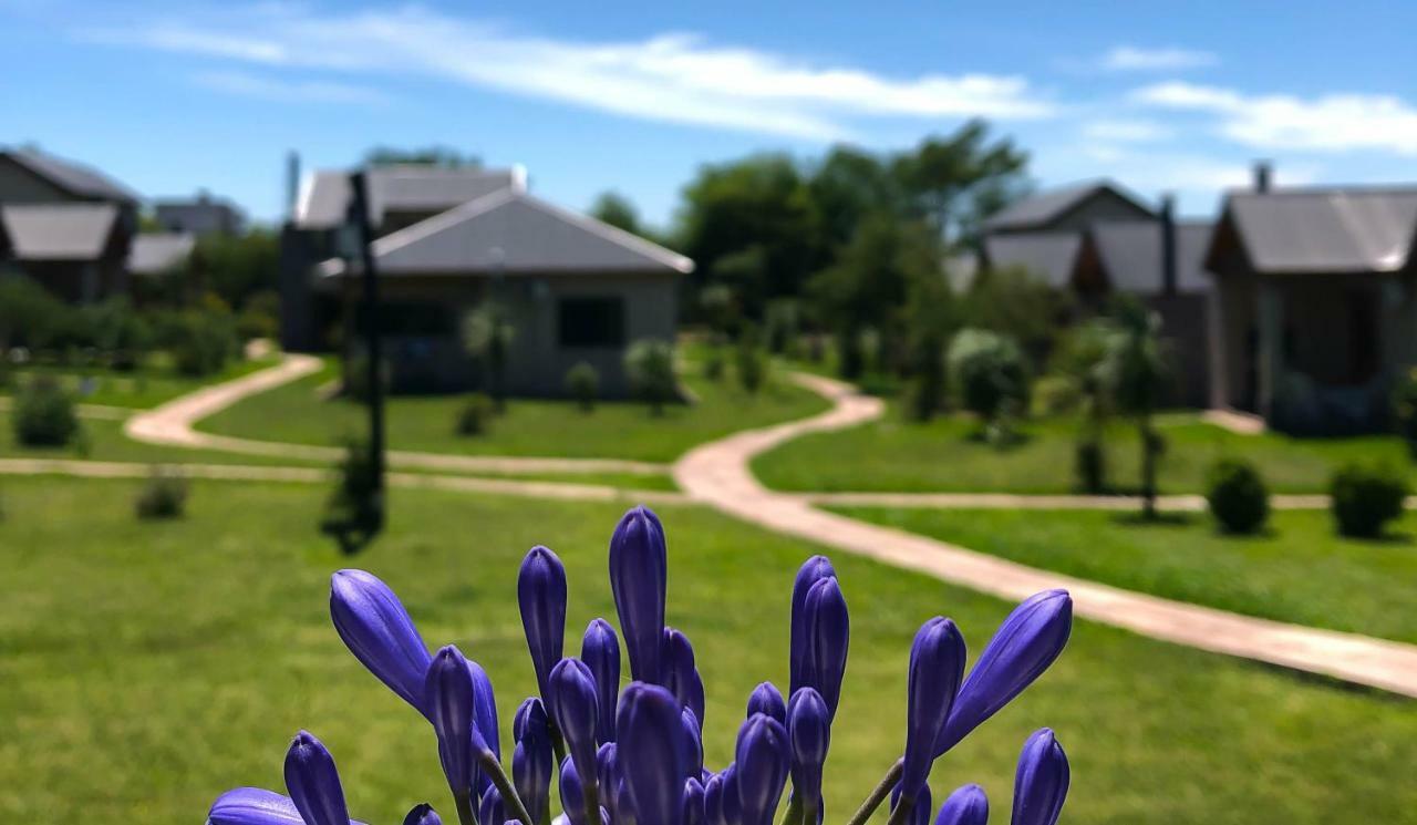 Iguape Aparts & Spa Colón المظهر الخارجي الصورة